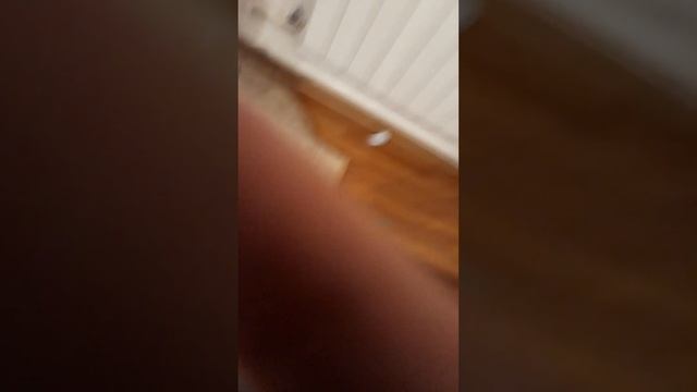 23 ноября у меня день рождения подпишитесь ПЖ