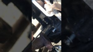 Где находиться метка коленвала на пежо 206 1,4 бензин