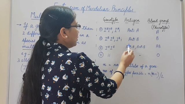 Extension of Mendelian Principles. Genetics. смотреть онлайн