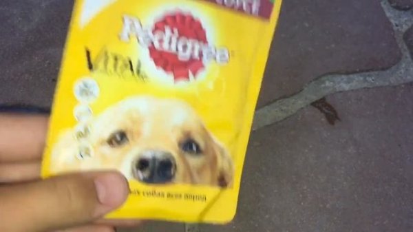 ОБЗОР НА ЛАКОМСТВА Pedigree?? HAPPY PETS