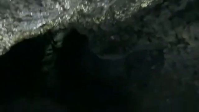 Серхио нашёл золото в древней пещере смотреть онлайн