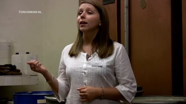 Parfum - Grasse - Parfumerie Fragonard with guide tour