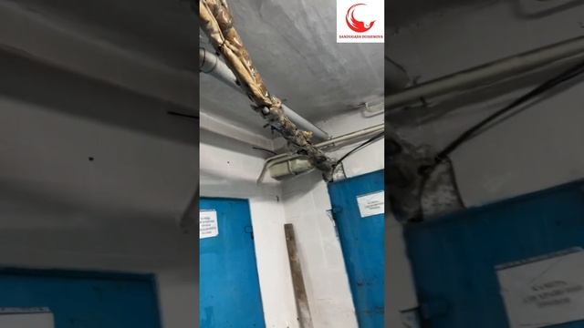 Ужасные кадры - Талдыкорганский морг! смотреть онлайн