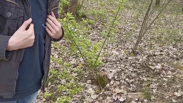 Выбираюсь из ЛЕСА с ЗАКРЫТЫМИ ГЛАЗАМИ! смотреть онлайн