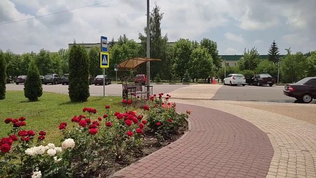 Переезд из Сибири на юг. Часть 16. Парк роз смотреть онлайн