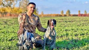 Две супер-охоты на вяхиря | Шикарное закрытие сезона по голубю