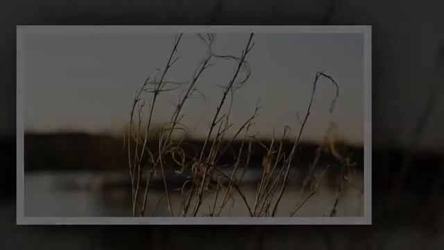 Sony nex 3.HD photos. смотреть онлайн