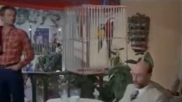 Bud Spencer & Terence Hill