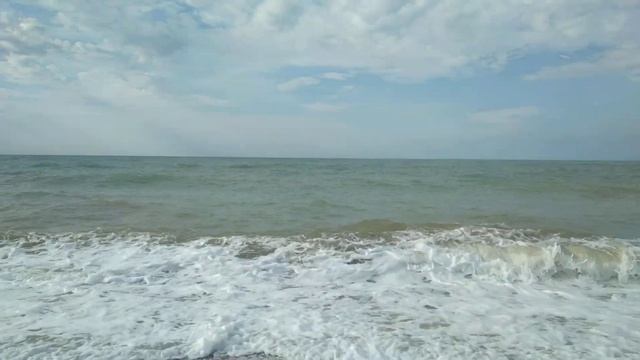 КТО ВИДЕЛ ЯЙЦО СКАТА? смотреть онлайн