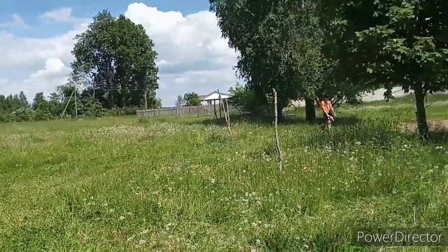 Высаживаем капусту. смотреть онлайн