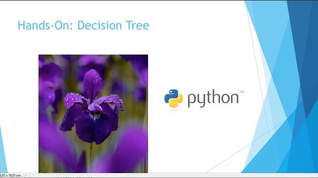 Decision Tree Classifier in Python (IRIS data) | Machine Learning смотреть онлайн
