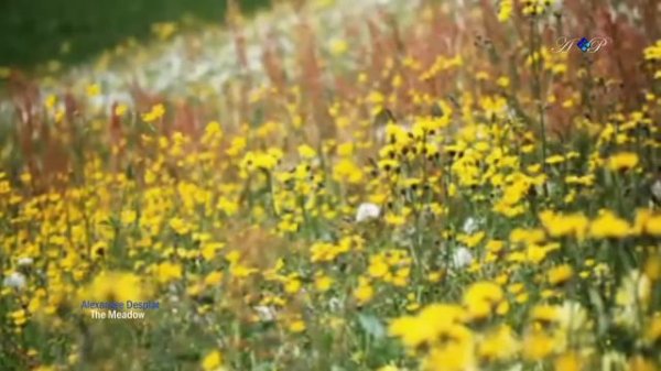 Alexandre Desplat - The meadow