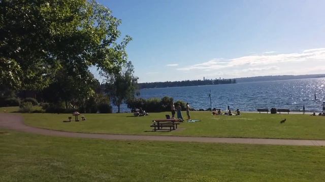 Моя Америка, отдых на берегу озера Вашингтон.