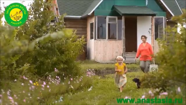 НОВОГОДНЕЕ ПОЗДРАВЛЕНИЕ ВЛАДИМИРА МЕГРЕ VK COM/VMEGRE смотреть онлайн