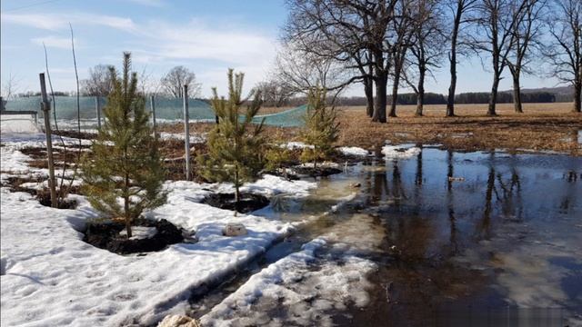 Затопило участок. Строительство фахверка. Паводок смотреть онлайн