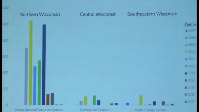 Winchester: Bats Under Attack: Threats to the Wisconsin Bat Population смотреть онлайн