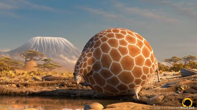ROLLIN' WILD - 'Giraffe ' - what if animals were round? смотреть онлайн