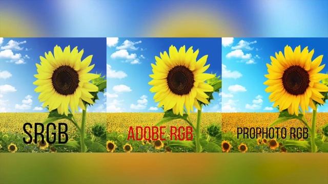 why do different monitor"s show different colors смотреть онлайн