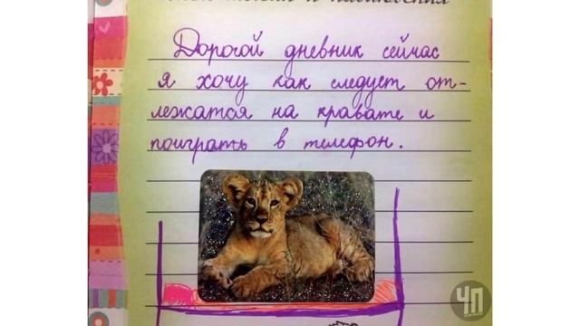 Лютые Приколы Сурикаты вызывают Дьявола смотреть онлайн