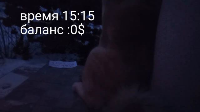 С БОМЖА ДО МИЛИОНЕРА С СОБАКОЙ ? / часть 1 \ я купил телефон... смотреть онлайн