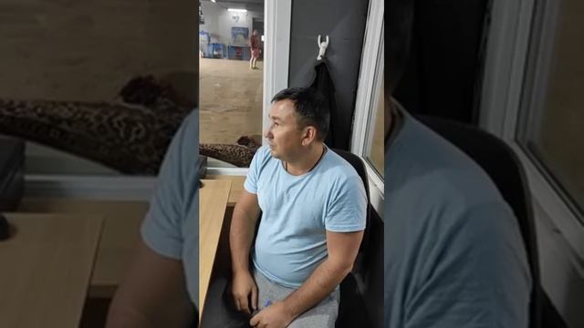 Гарик и Антоша. Подборка #38 смотреть онлайн