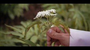 Grigory Esayan - Kasem vay vay | Григорий Есаян - Касем вай вай 2020