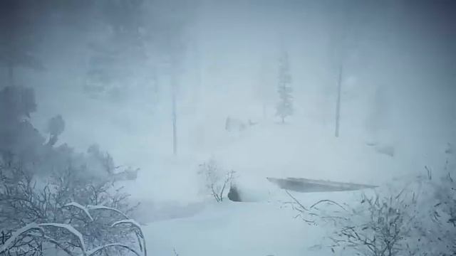 7 Hours Blizzard In The Forest | Heavy Snowstorm & Howling Wind Sounds