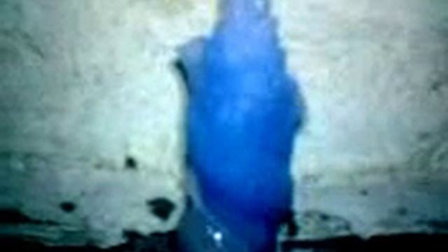 размножение слизней смотреть онлайн