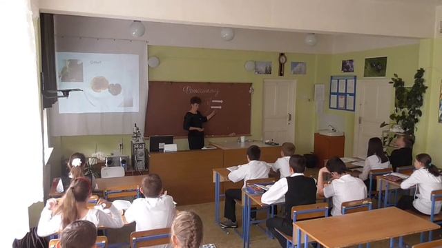 Фрагмент урока 6 кл Фотосинтез Лебедева Т И смотреть онлайн