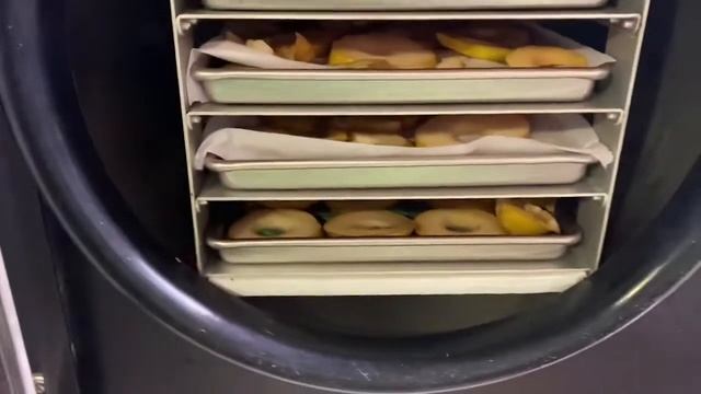 Freeze Dried Pears ? using Azure Standard Pears and the Large Harvest Right freeze dryer смотреть онлайн