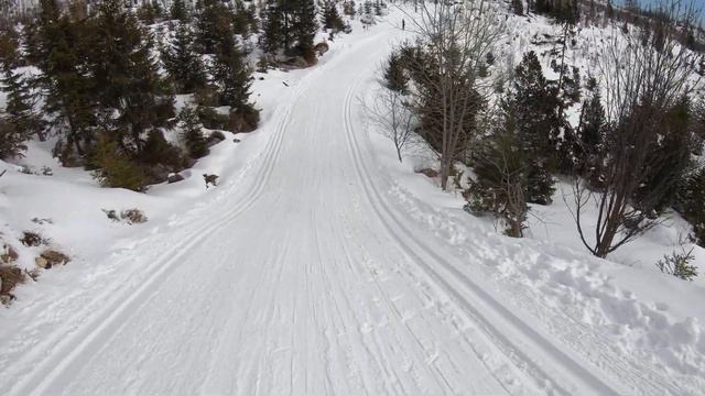 Štrbské Pleso - Zjazd смотреть онлайн