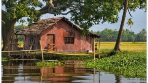 Мы будем жить с тобой в маленькой хижине на берегу очень тихой реки...