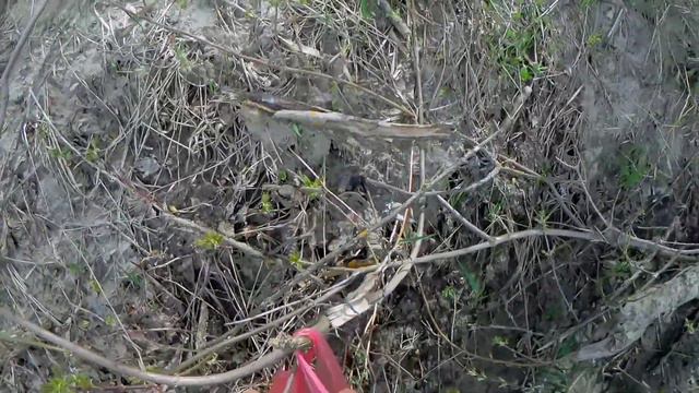 Ради такой рыбы стоило сменить место. Рыбалка в мае на поплавок 2021. смотреть онлайн