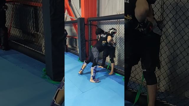 ТРЕНИРОВКИ ЧОВИДОН МАХМУДОВ Vs РУСЛАН МУСТАФИРОВ TAJMMAF 2023