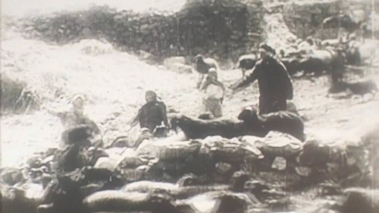 Мидис Фæлвæра смотреть онлайн