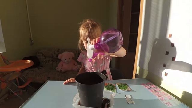 Ксюха сажает мяту и украшает цветочный горшок наклейка для лица бабочка смотреть онлайн