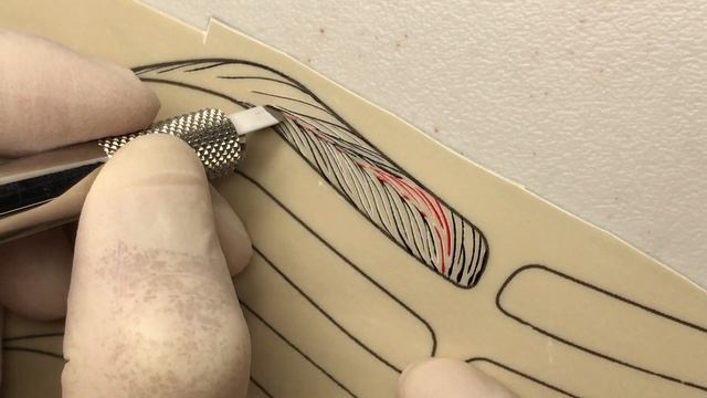 Applied Microblading Patterns: S-curve Brows #6 смотреть онлайн