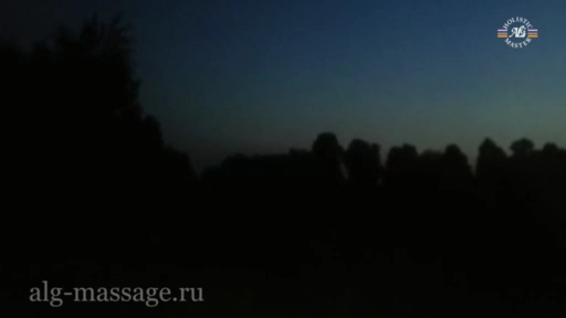 Ночные птички в деревне