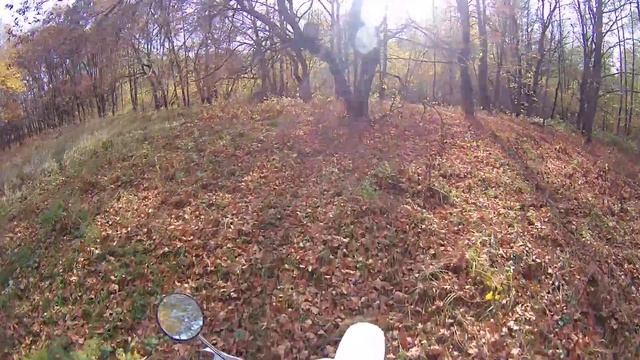 Сундук на дубе том смотреть онлайн