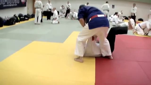 Джиу джитсу Хокуторю HOKUTORYU JUJUTSU Martial Arts