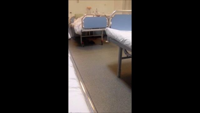 Дед пердун смотреть онлайн