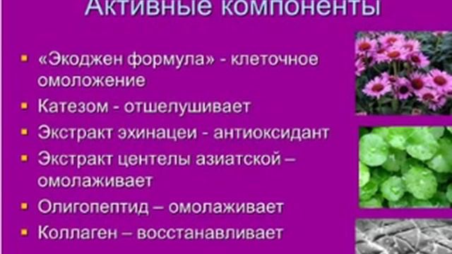 Конференция №4 | 29.07.2014 смотреть онлайн
