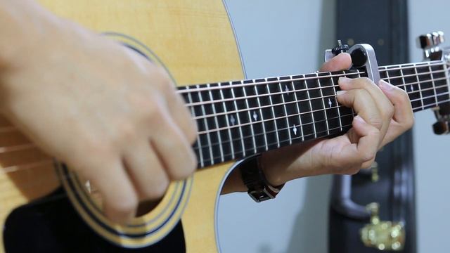 (Jeff Buckley) Hallelujah - Rodrigo Yukio (Fingerstyle Guitar Cover)(With TABS) смотреть онлайн