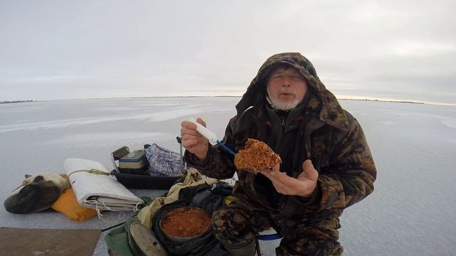 Рыба на Прикормку