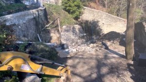 Орхидея цимбидиум. Как долго цветет цимбидиум.