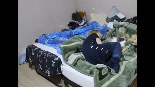 Когда кот лежит на кровати, а ты хочешь спать смотреть онлайн