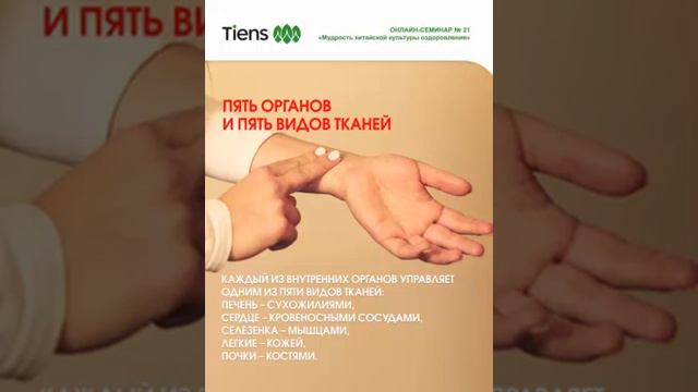 Связь пяти первостихий с жизненными явлениями, органами и тканями организма человека. смотреть онлайн