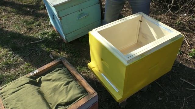 С ЧЕГО НАЧАТЬ? Видео для начинающего пчеловода. смотреть онлайн