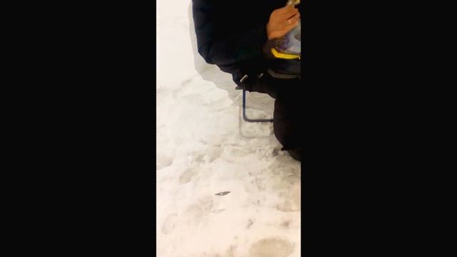 Приключения на зимней рыбалке 2017Ловля плотвы ,окуня зимой, бурение лунок 200-м буромwinter fishin смотреть онлайн