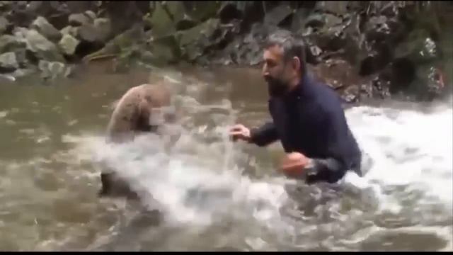 Русский медведь и турецкий путешественник Цемал Гулас играют и обнимаются в реке на Алтае смотреть онлайн